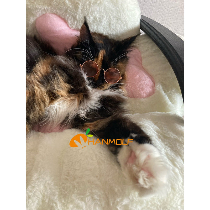 Cojín Para Silla Asiento Peluche Garrita Gato Mueble Mascota