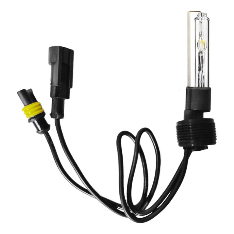 Ampolleta Xenon H0 Para Ojo De Angel 6000k