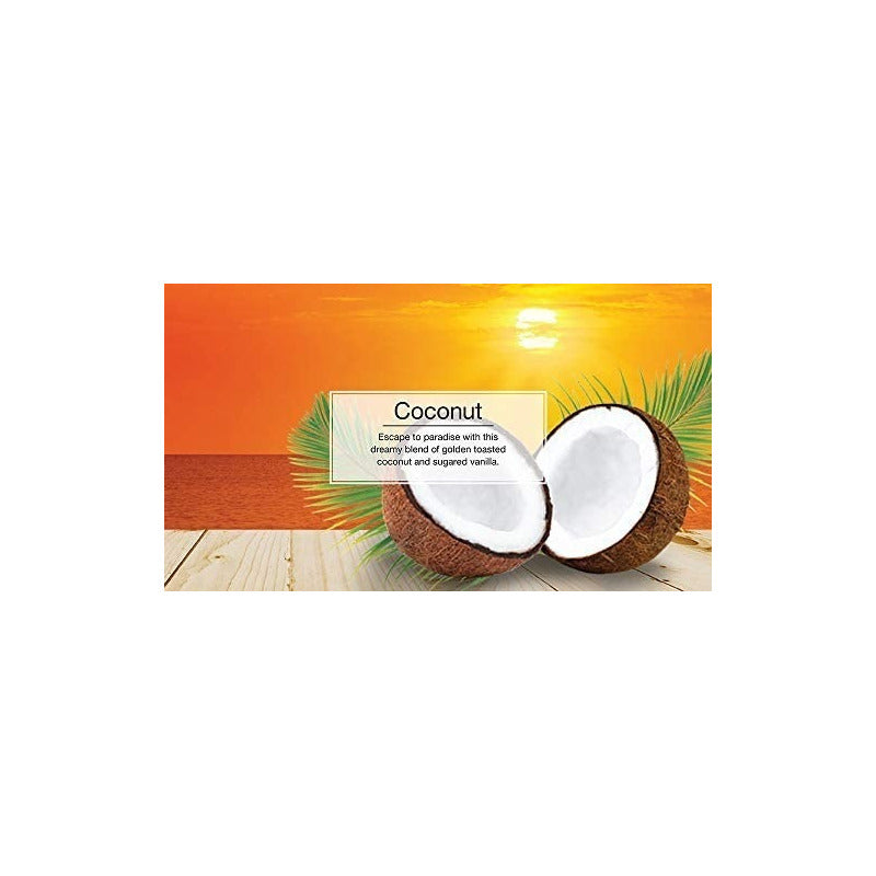 X24 Pino Aromático Colgante Para Auto Casa Little Trees /r&c
