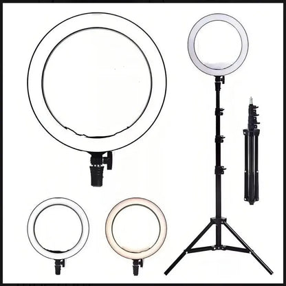 Aro De Luz Led Redondo De 26 Cm Con Trípode Y Colores De Luz Fría Y Cálida Negro Blanco Frio / Blanco Calido
