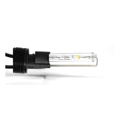 Ampolleta Xenon H0 Para Ojo De Angel 6000k