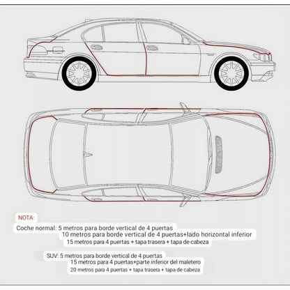 Moldura De Auto Sello Presión Protectora Puertas Capot 10mt Negro 10mt